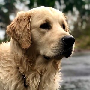 Meet your Posher, Michael todd